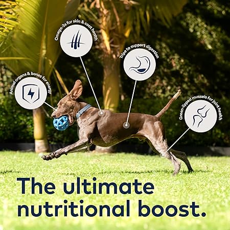 ZIWI Peak Air Dried Beef Dry Dog Food
