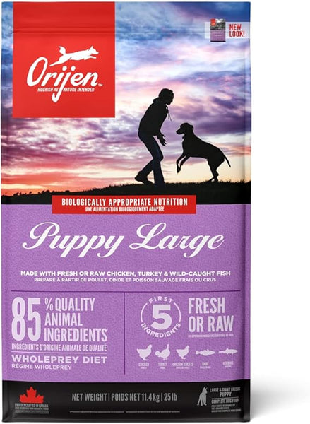 Orijen Large Breed Puppy Dry Food