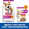 Hill's Science Plan Small & Mini Adult Chicken Dry Dog Food