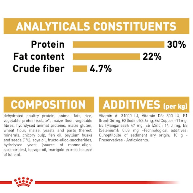 Royal Canin Persian Adult Dry Cat Food