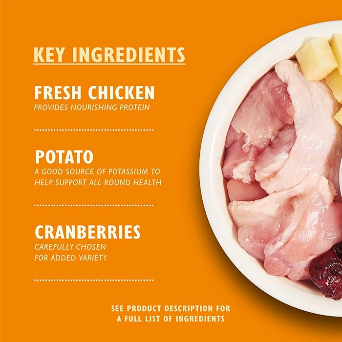 Lily's Kitchen Chicken Casserole Dry Food for Cats