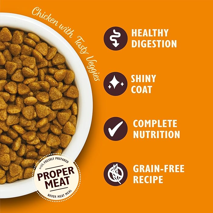 Lily's Kitchen Chicken Casserole Dry Food for Cats