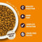 Lily's Kitchen Chicken Casserole Dry Food for Cats