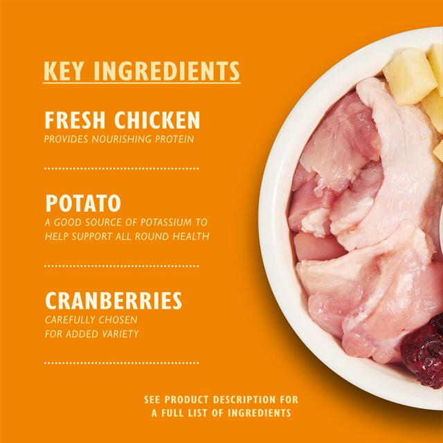 Lily's Kitchen Chicken Casserole Dry Food for Cats