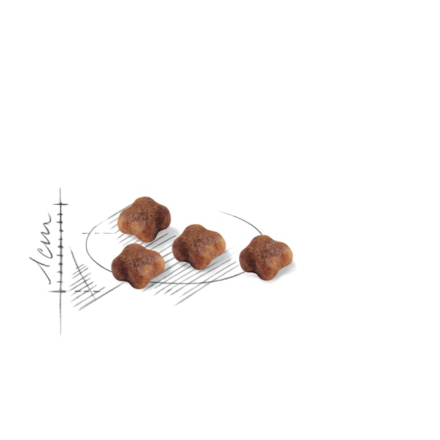 Royal Canin Mother & Babycat Dry Cat Food