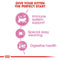 Royal Canin Mother & Babycat Dry Cat Food