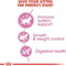 Royal Canin Kitten Sterilised Dry Food