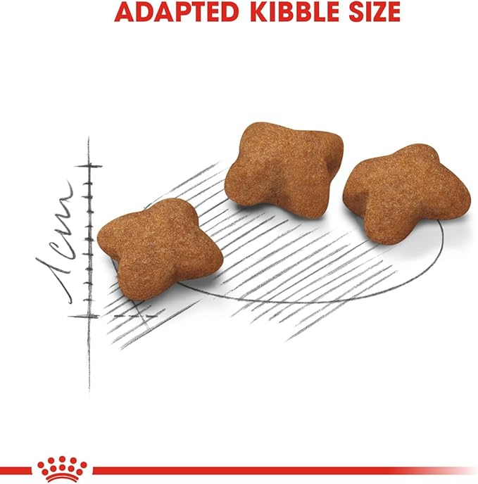 Royal Canin Kitten Sterilised Dry Food