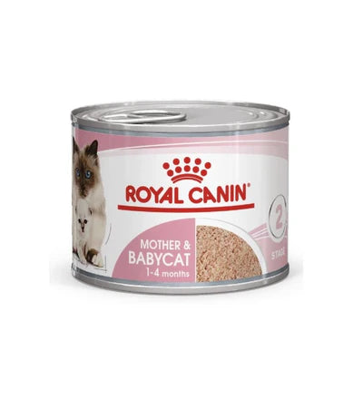 Royal Canin Mother & Babycat Adult Wet Cat Food - 195 GM