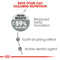 Royal Canin Oral Care Adult Dry Cat Food