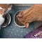 Yora Pet Foods Insect Protein Adult Dry Cat Food