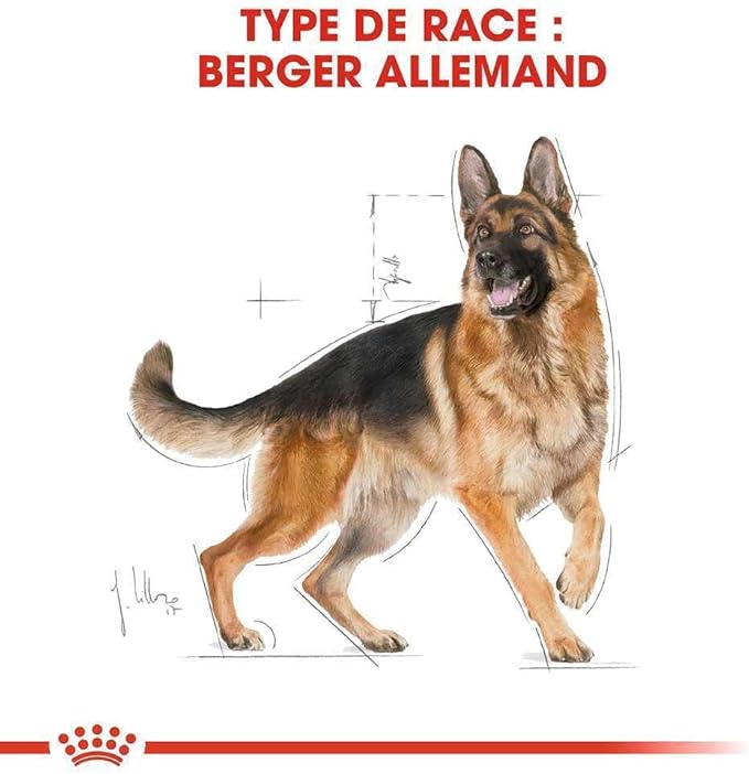 Royal Canin German Shepherd Adult Dry Dog Food