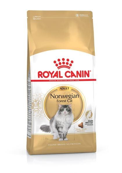 Royal Canin Norwegian Forest Cat