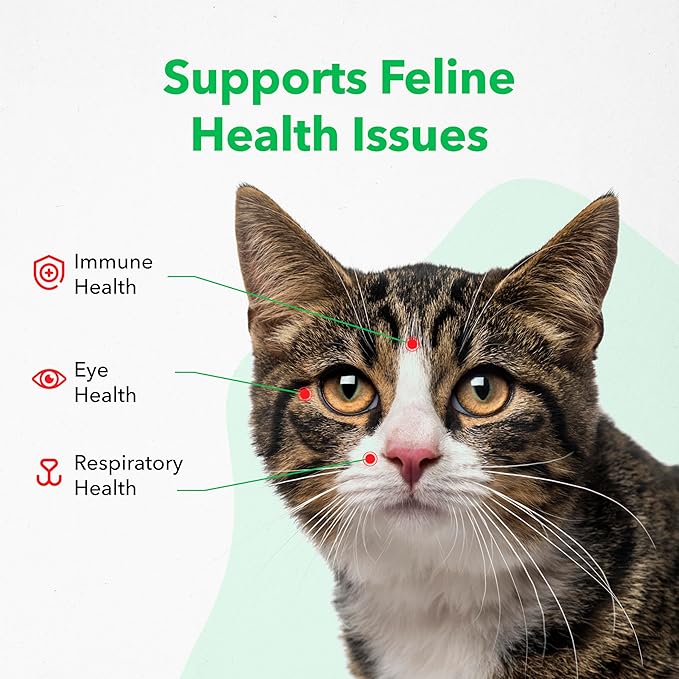 Vetoquinol Viralys Oral Gel for Cats