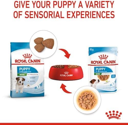 Royal Canin Mini Puppy Wet Food