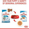 Royal Canin Mini Puppy Wet Food