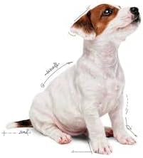 Royal Canin Mini Puppy Wet Food