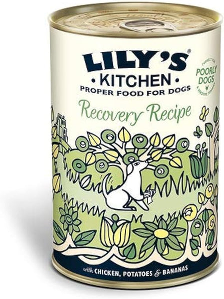 Lily's Kitchen Recovery Recipe Wet Dog Food