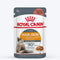 Royal Canin Feline Care Nutrition Hair & Skin in Gravy Adult Wet Cat Food