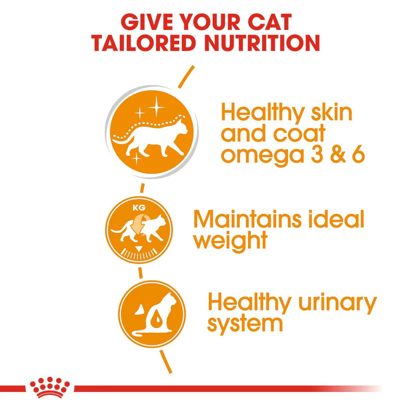 Royal Canin Feline Care Nutrition Hair & Skin in Gravy Adult Wet Cat Food