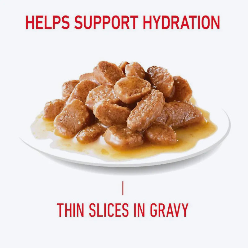 Royal Canin Feline Care Nutrition Hair & Skin in Gravy Adult Wet Cat Food