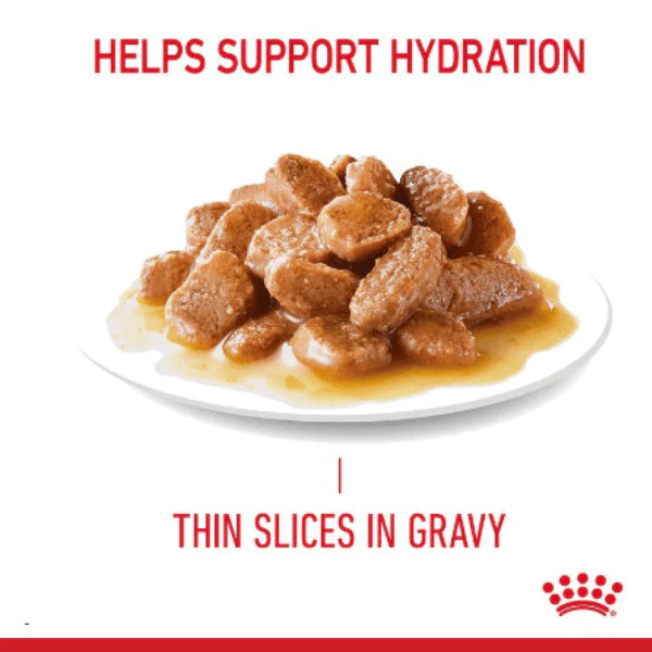 Royal Canin Feline Care Nutrition Hair & Skin in Gravy Adult Wet Cat Food