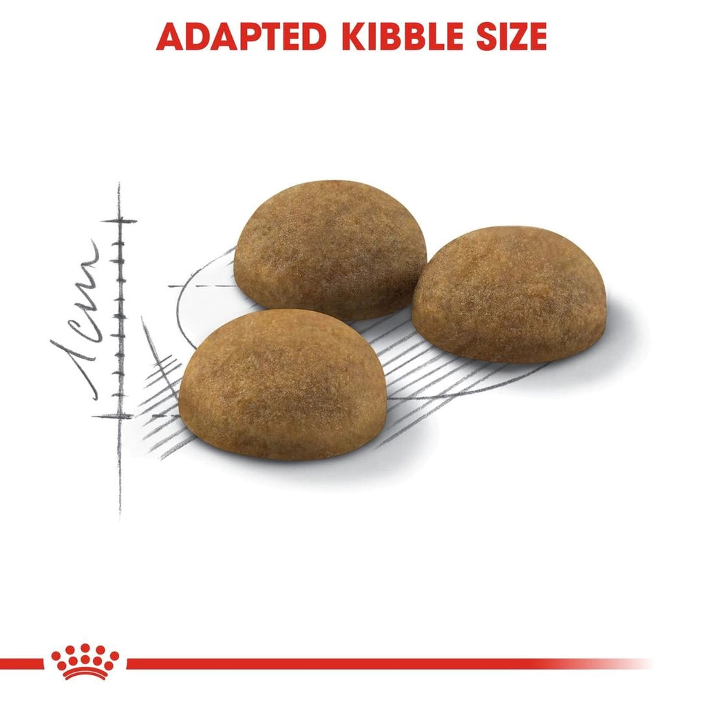 Royal Canin Indoor Long Hair Dry Cat Food