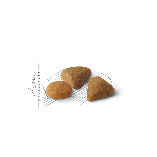 Royal Canin Savour Exigent Adult Dry Cat Food