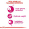 Royal Canin Savour Exigent Adult Dry Cat Food