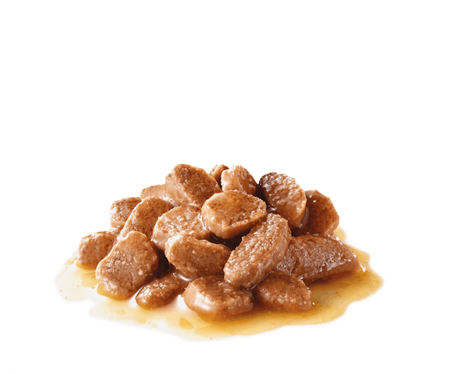Royal Canin Hairball Care in Gravy Adult Wet Cat Food