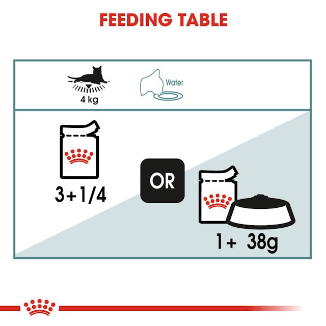 Royal Canin Hairball Care in Gravy Adult Wet Cat Food