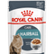 Royal Canin Hairball Care in Gravy Adult Wet Cat Food