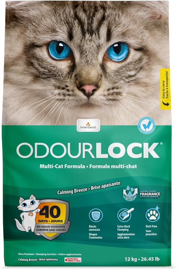 Intersand Odourlock Cat Litter - 12 KG