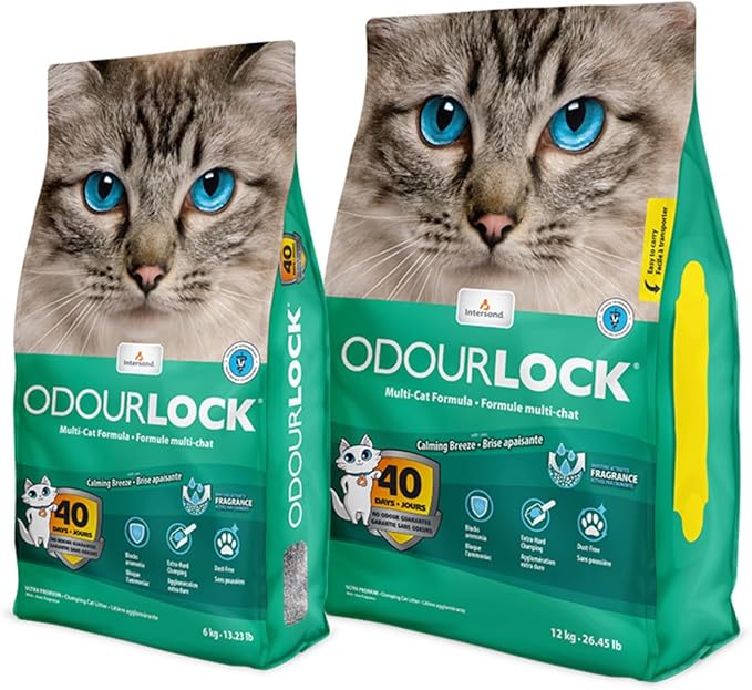 Intersand Odourlock Cat Litter - 12 KG