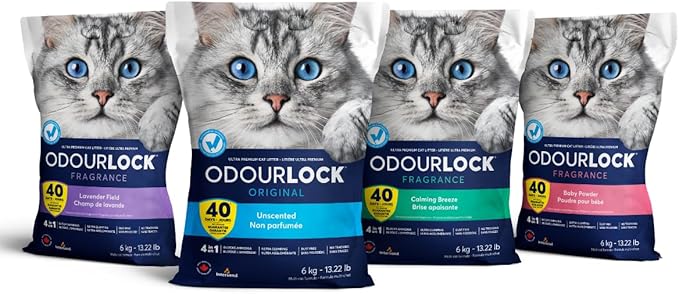 Intersand Odourlock Cat Litter - 12 KG