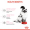 Royal Canin Mother & Babycat Dry Cat Food