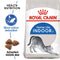 Royal Canin Home Life Indoor 27 Adult Dry Cat Food