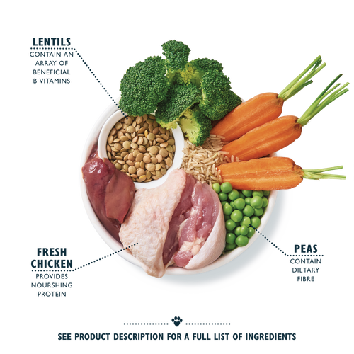 Lily's Kitchen Organic Chicken Bake with Vegetable & Herb Adult Dry Dog Food