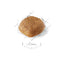 Royal Canin Cavalier King Charles Spaniel Adult Dry Dog Food