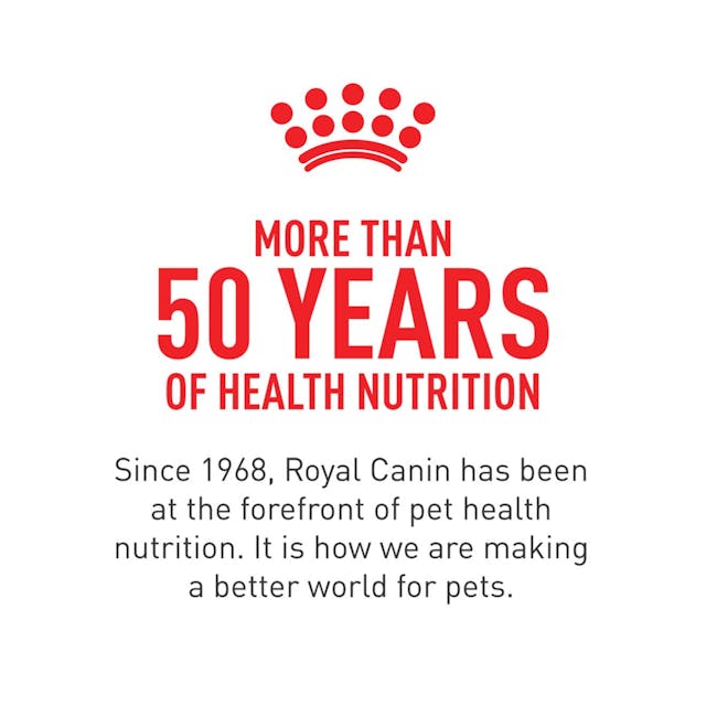 Royal Canin Cavalier King Charles Spaniel Adult Dry Dog Food