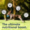 ZIWI Peak Air Dried Tripe & Lamb Dry Dog Food