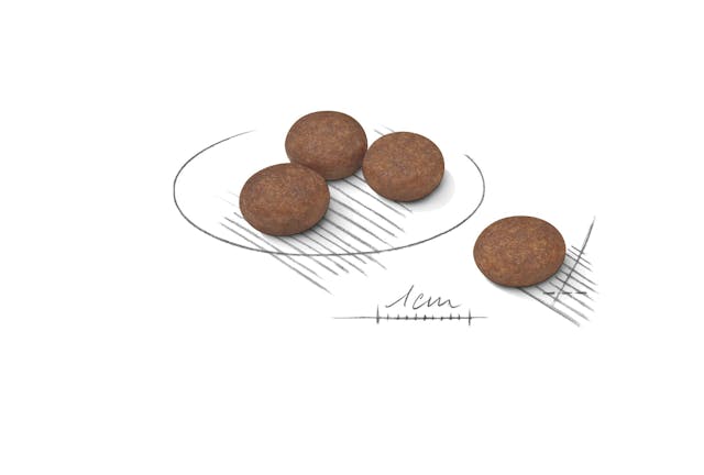 Royal Canin Mini Digestive Care Adult Dry Dog Food