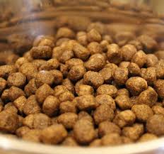 Acana Wild Coast Canine Formula Adult Dry Dog Food
