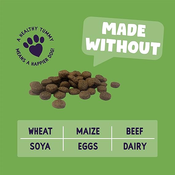 Burgess Sensitive Adult Lamb Dry Dog Food