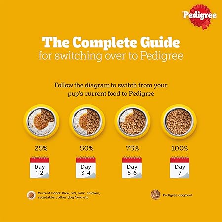 Pedigree Chicken & Vegetables Adult Dry Dog Food