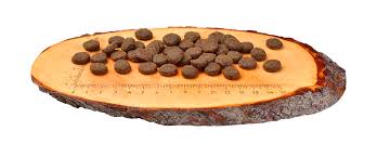 Carnilove Reindeer for Adult Dog Dry Food