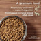 Diamond Naturals Large Breed Adult Dog Chicken & Rice Formula