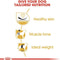 Royal Canin Pug Adult Dry Dog Food