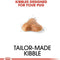 Royal Canin Pug Adult Dry Dog Food