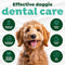 TropiClean Oral Care Water Additive for Dogs & Cats